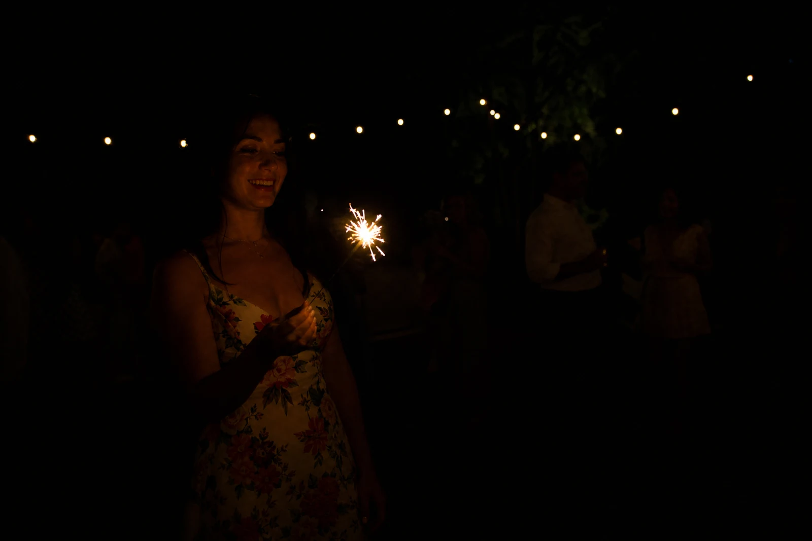 AI Low Light Brightener — before editing